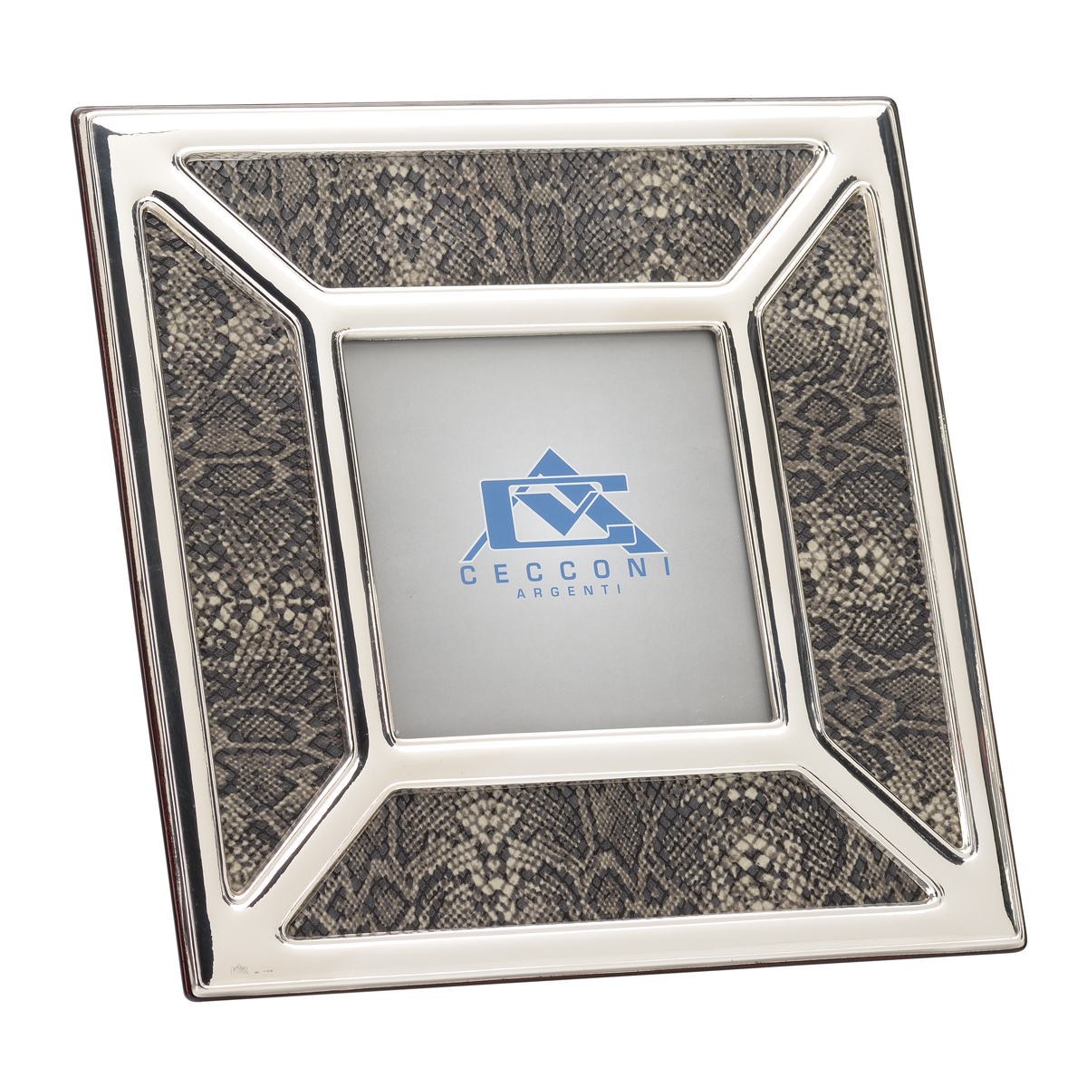 SILVER FRAME WITH SNAKE LEATHER